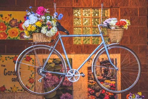 Bike decoration in the Garden Cafe