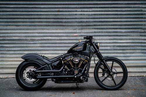 Black Harley-Davidson with crow