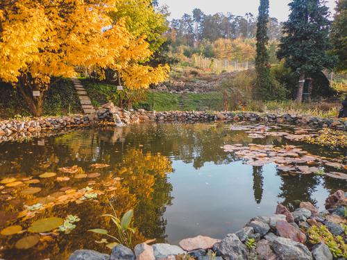 Jardín botánico en otoño