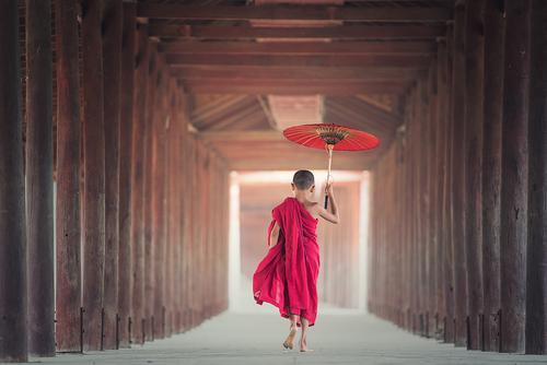 Buddhist monk with umbrella