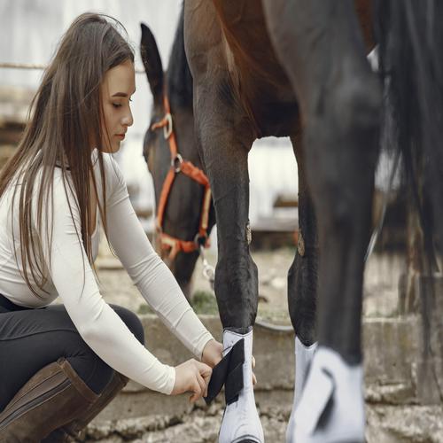 Chica con un caballo