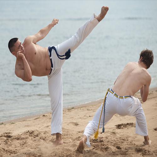 Capoeira Martial Art