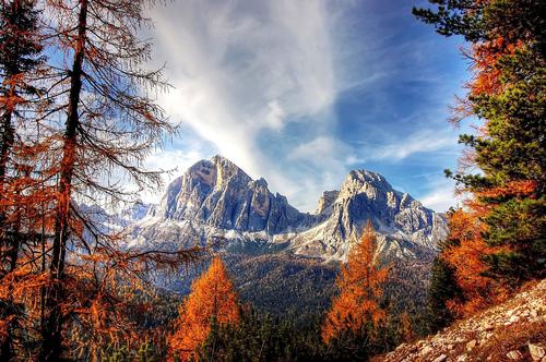 Dolomites framed by a forest