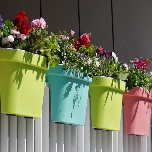 Flowers in colorful pots