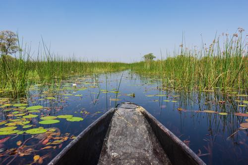 Explorando os rios de Botswana