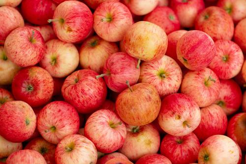 Farmer's apples