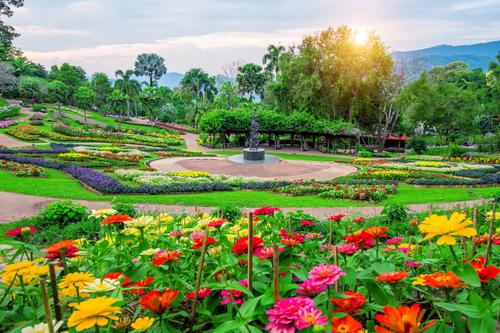 Jardín de flores en Tailandia