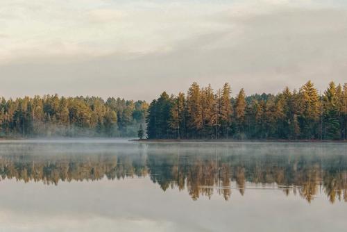 Niebla sobre un lago al amanecer