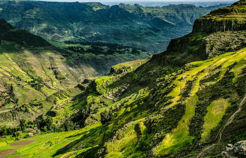 Green landscape in Ethiopia