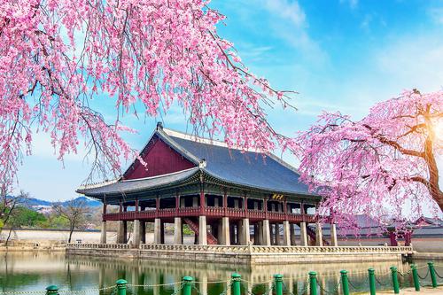 Palacio Gyeongbokgung en primavera
