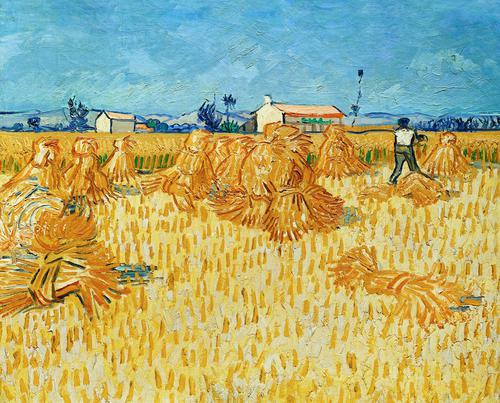 Colheita de Milho em Provence, Van Gogh