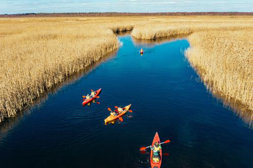 Kayaks among reeds