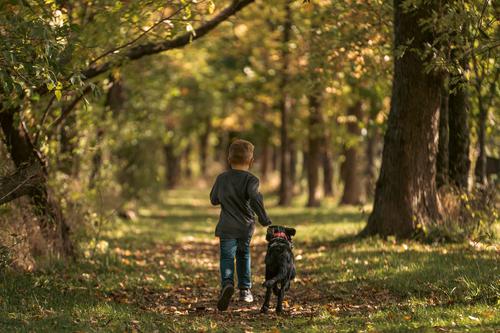 Kid in the forest with his dog