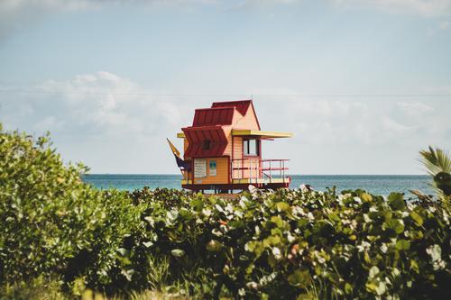 Lifeguard hut in Miami