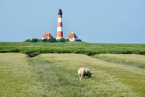 Lighthouse near fields