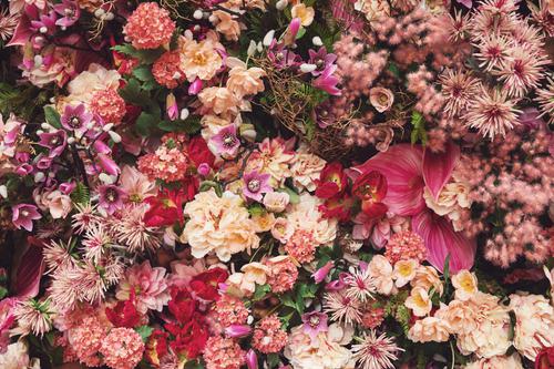 Mezcla de hermosas flores rosas