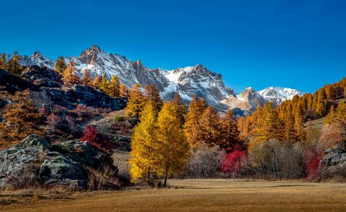 Montañas cubiertas de nieve y árboles de otoño.