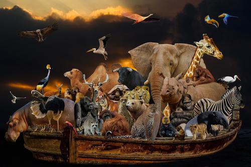 MasterPieces Puzzle Ispirazionale Arca Di Noè – 1000 Pezzi – 48,9 X 67,9 Cm – Arte Di Eric Dowdle – Dai 13 Anni