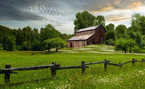 Old barn in a meadow