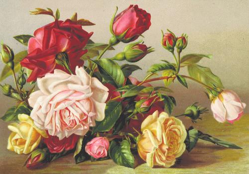 Painting of flowers in an old book