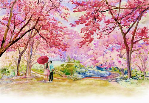 Pintura de flores de cerejeira