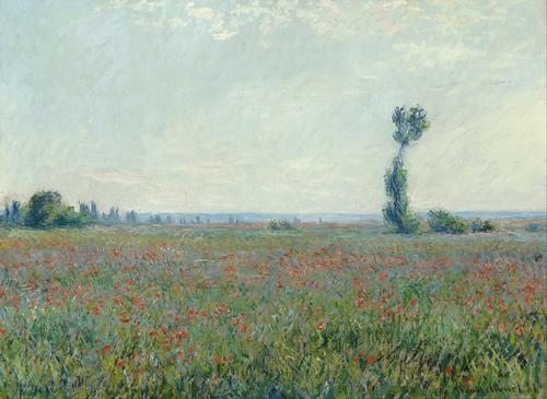 Poppy Field, Claude Monet