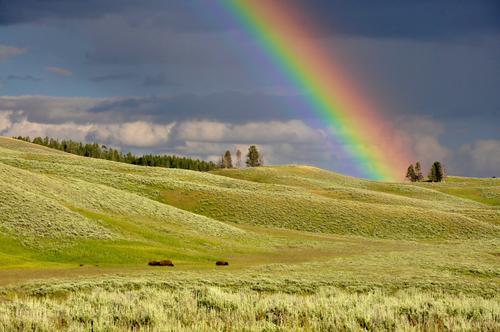 Rainbow at the Yellowstone National Park