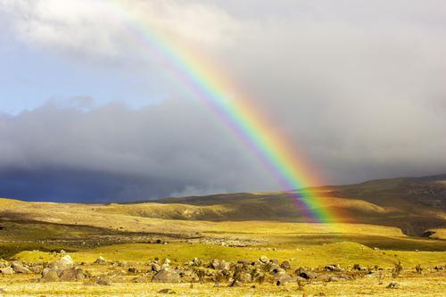 Rainbow in an open field