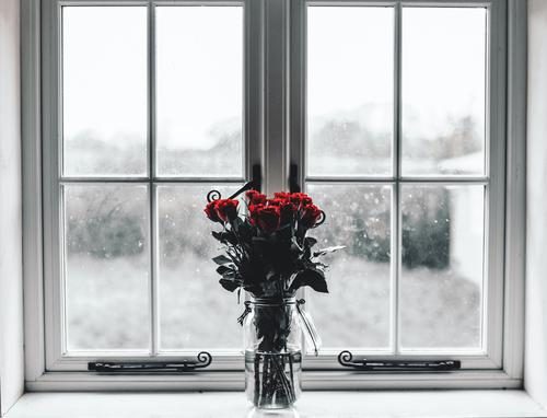 Rosas rojas en una ventana