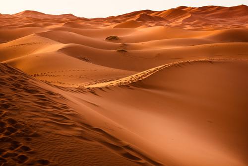 Desierto de arena