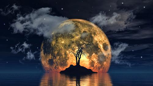 Árvore assustadora na frente da lua