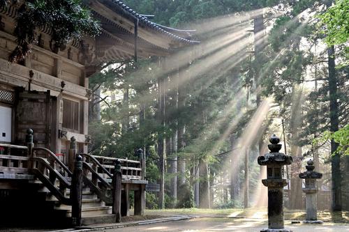 Sun rays at Koyasan Temple