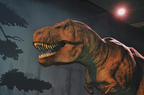 T. Rex no Museu de Historia Natural, Londres