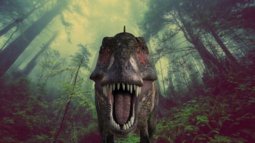 T. Rex in a forest