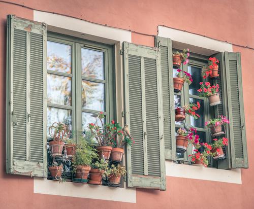 A janela de flores, Nîmes