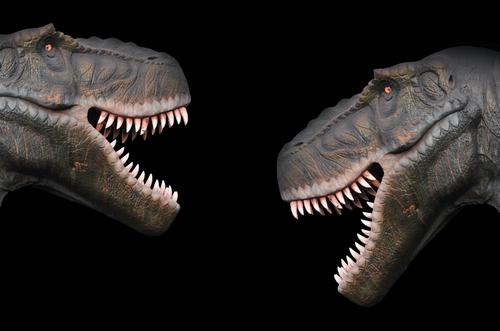 Two T. Rex heads